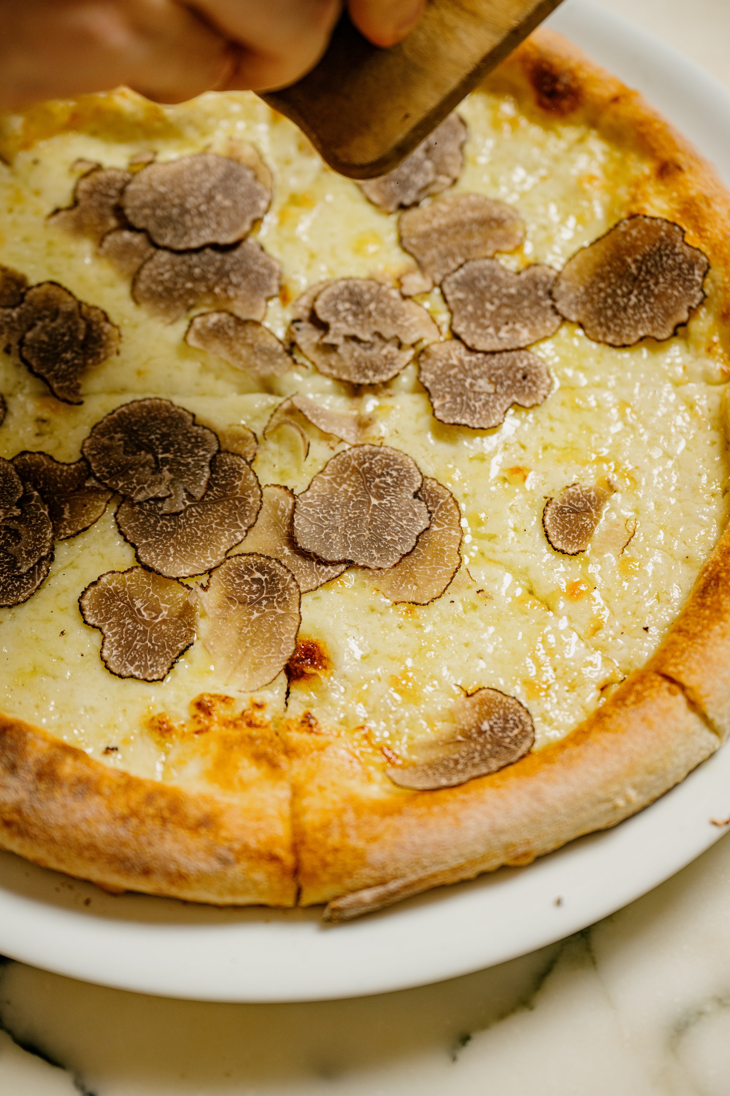 Gallery — MAMO Italian Restaurant